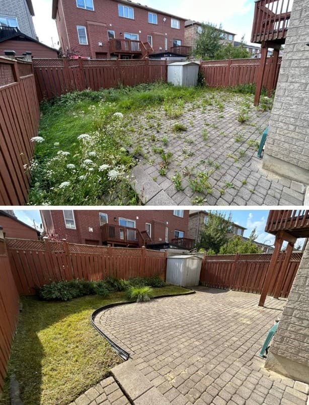Backyard patio landscaping cleanup before and after in Austin TX